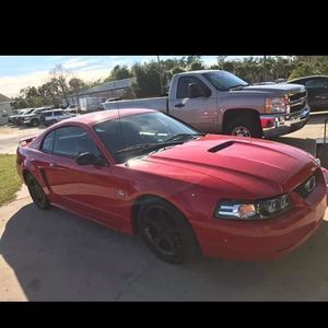 Meet your Posher, Jilberto